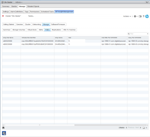 HP Insight Control for VMWare showing iSCSI initiator paths