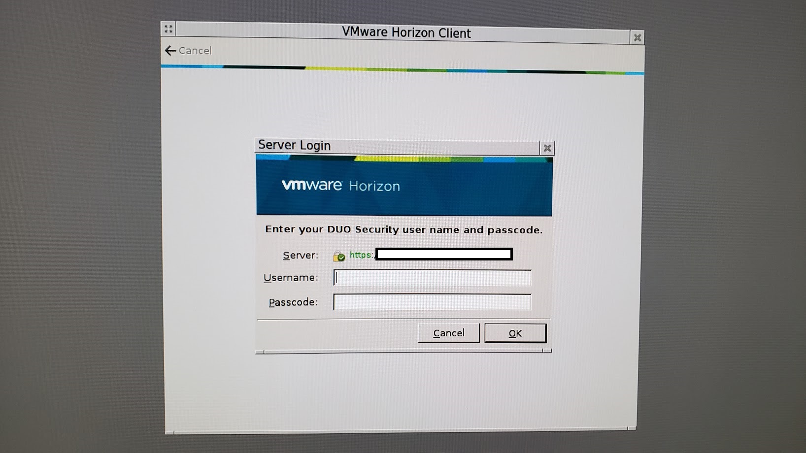 DUO Security Login VMware View Client Dialog Box