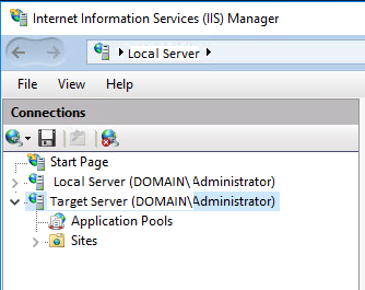 IIS Server List Window Pane