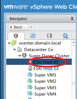 ESXi Navigator Pane on vCenter Web Interface