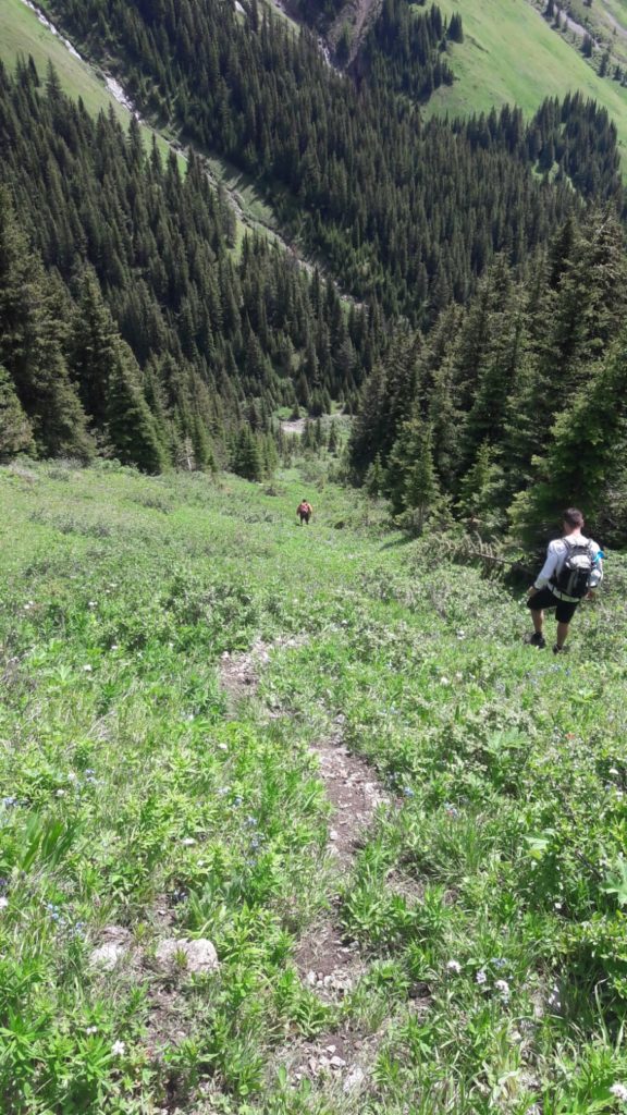 King Creek Ridge to Mount Hood Route