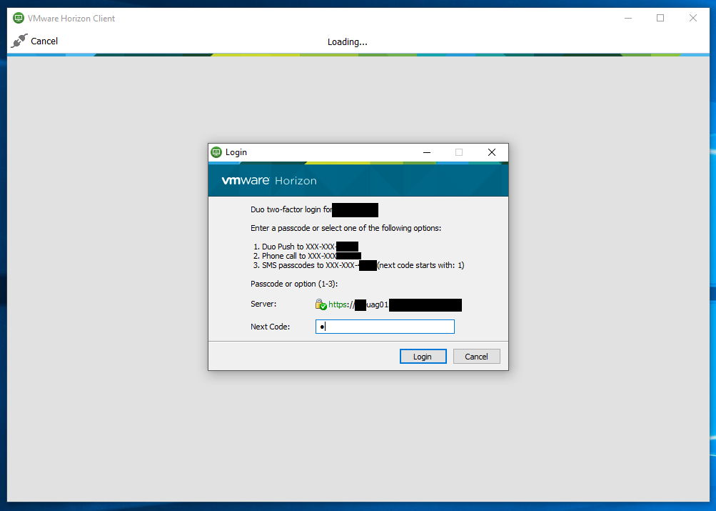 Screenshot of Duo MFA 2FA Prompt on VMWare Horizon Client Login