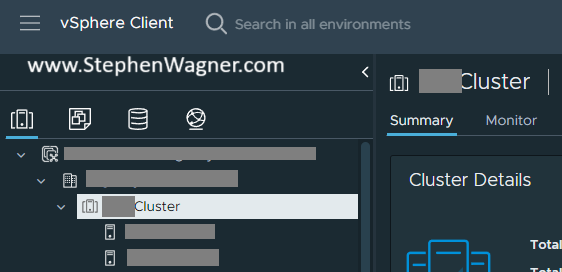 vSphere Cluster Selected